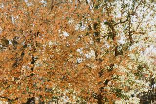 FBJ Weddings - 6
