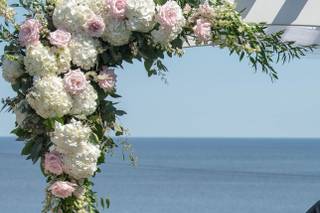 La Bella Rose - 23