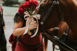 Xo Golden Photography - 17