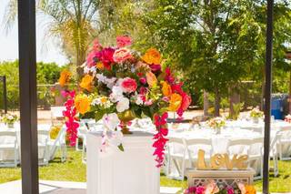 Touch Of Elegance - 46