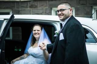 Flying Penguin Photography - 3