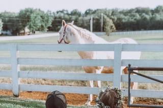 Saddle Woods Farm - 39