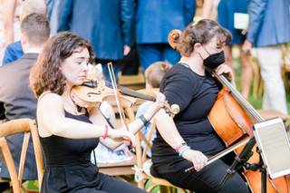 Blackstone Valley String Quartet & Ensembles - 5