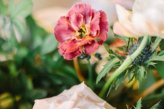 Moonstruck Florals - 16