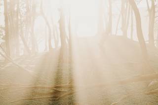TheWanderingB Photography - 30