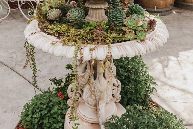 Del Rio Vista Garden 2
