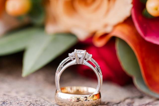 Leslie Ann Photography 5