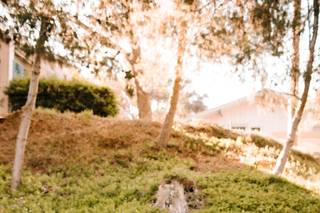 Elle Lily Photography and Videography - 10