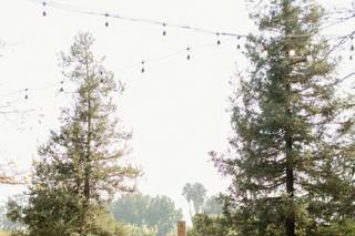 Pageo Lavender Farm - 7