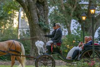 Heritage Carriages - 4