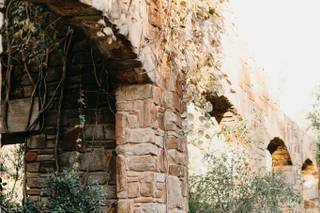 Lady Bird Johnson Wildflower Center - 25