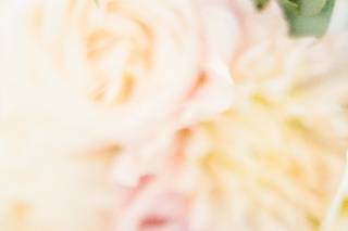Brandy Grace Photography - 15