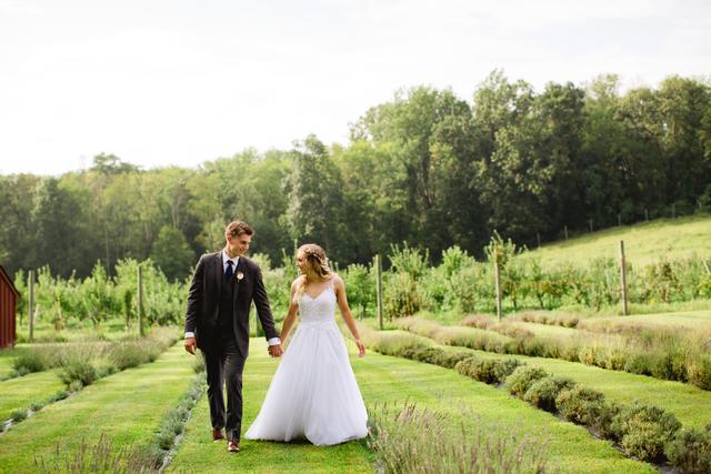 Orchard View Lavender Farm - 1