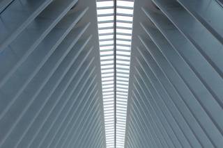 Steven Rosen Photography - 41