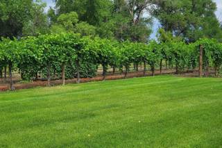 River Garden Winery - 9