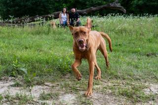 A Moment In Time Photography, Inc. - 9