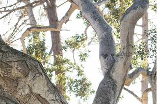 Melissa Jean Photography - 7