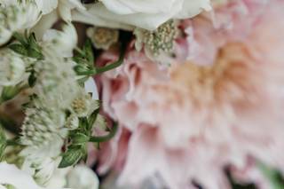 Cape May Flower Co. - 6
