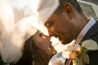 QphotographY - 12
