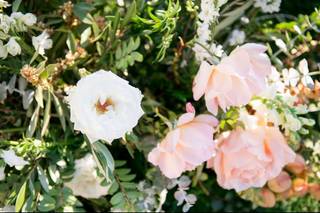 Bluebell Florals - 17