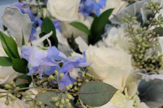 Alta Fleura - 61