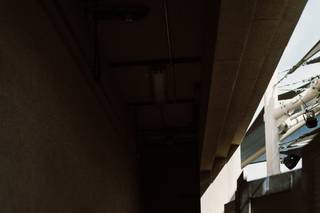 Tori Parker Photography - 20