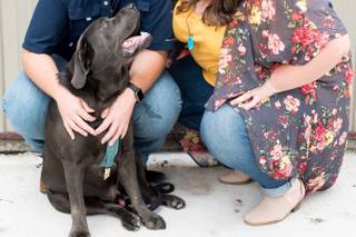 Lauren Renee' Photography - 11