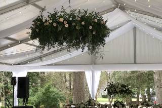 bloom room - 13