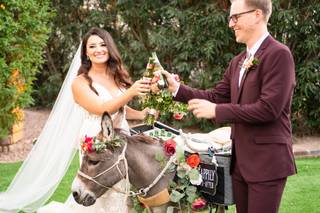 Haul N Ass Productions - 135