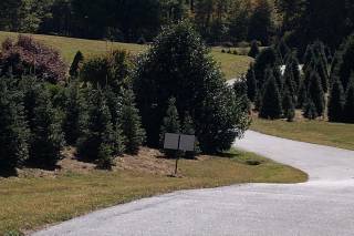 Chimney Pond Farm - 21