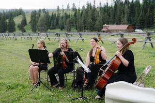 Stillwater String Quartet - 6