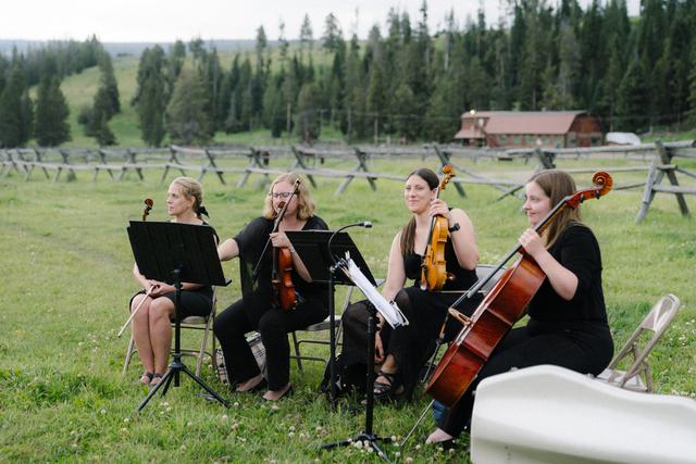 Stillwater String Quartet - 3