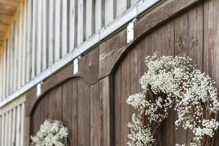 Meadow Grove - 6