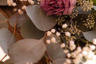 The Painted Primrose - 59