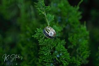 KStar's Photography - 20