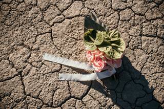 Tiago Pinheiro Photography - 35