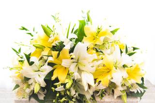 Floral Fantasy - 113