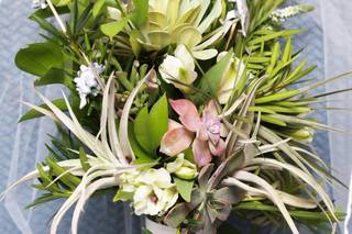 Fluttering Flowers - 62
