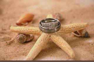 Evelyn Rivera Photography & PhotoBooths - 11