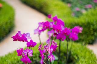 Jorge Santiago Photography - 7