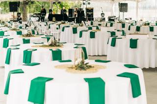 Little Bird Events - 61