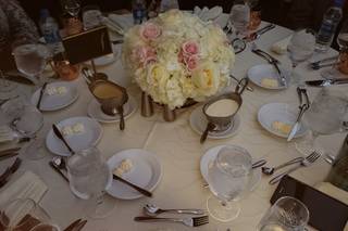 Tierra Events - 26