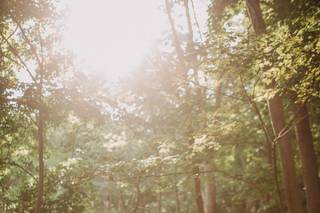 Michael Cassara Photography - 81
