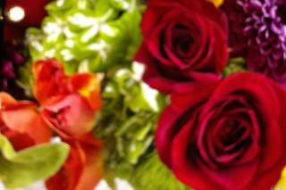 800ROSEBIG Wholesale Wedding Florist - 47