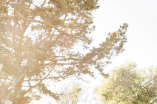 Nicole Quiroz Photography - 6