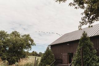 Tranquility Farm 3