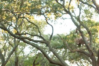 Caitlin Gerres Photography - 7