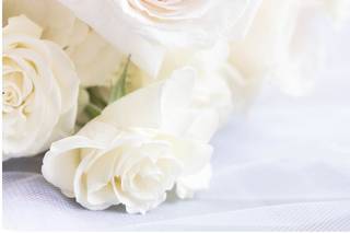 Dadi J. Photography - 6