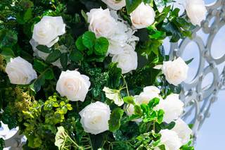 Tessfresh and Tessilk Flowers - 39