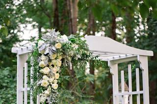 Diana Bellack Photography - 9